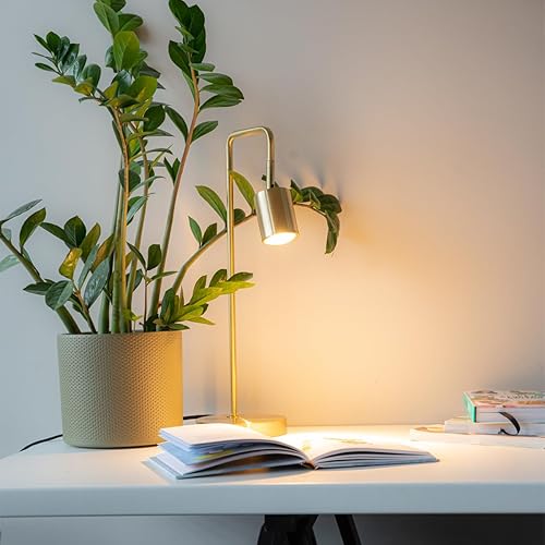 Qazqa Java Lampe de Table Laiton Moderne