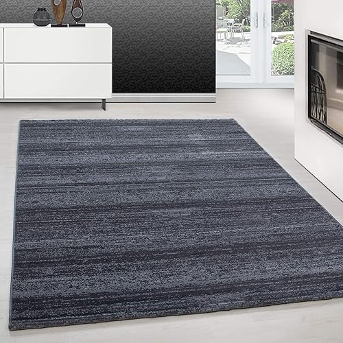 Teppium Tapis Moderne Gris 160x230 cm Poils Courts