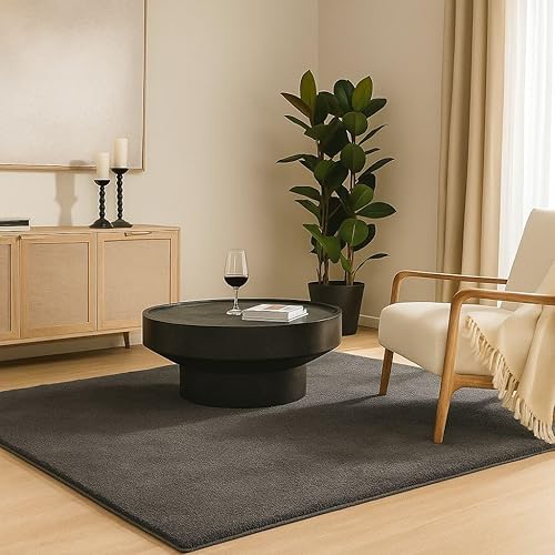 VOUNOT Tapis Salon Anthracite 160x230