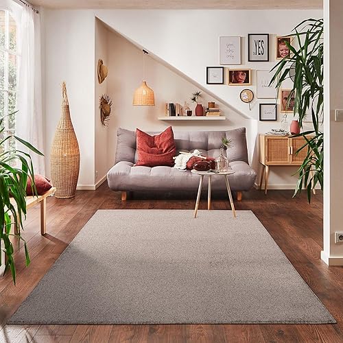 Carpettex Tapis Uni Beige Poil Court 160x230